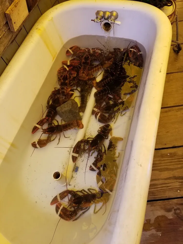 I Think Its a Lobster