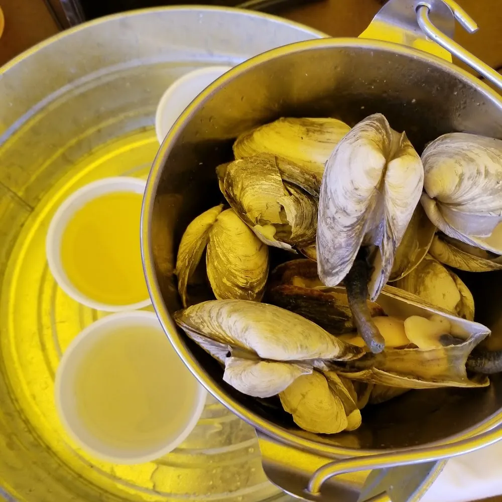Steamed Clams